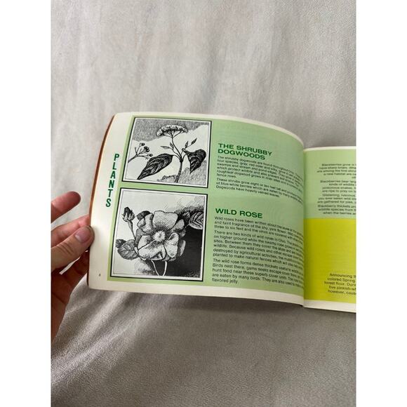 1970'S Ohio Department Natural Resources Books NATURE LORE BOOK cottagecore - Picture 2 of 7